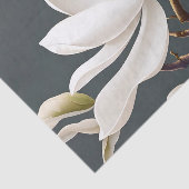 Elegante witte Magnolia Bloem Tissuepapier (Detail)