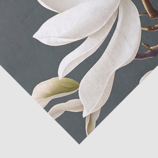 Elegante witte Magnolia Bloem Tissuepapier (Detail)