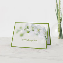 Elegante witte orchidee bloemen groene knoppen rom