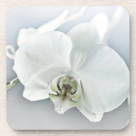 Elegante Witte Orchidee Botanische Kunst Bier Onderzetter