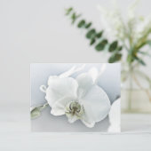Elegante Witte Orchidee Botanische Kunst Briefkaart (Staand voorkant)