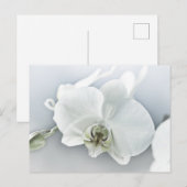 Elegante Witte Orchidee Botanische Kunst Briefkaart (Voorkant / Achterkant)