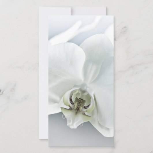 Elegante Witte Orchidee Botanische Kunst Feestdagenkaart (Voorkant)