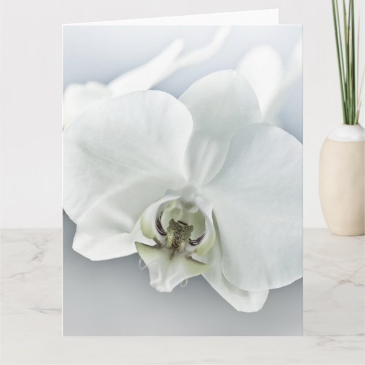Elegante Witte Orchidee Botanische Kunst Kaart (Voorkant)