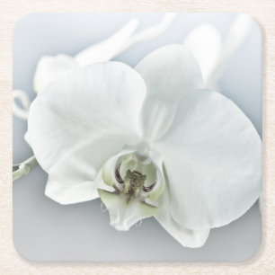 Elegante Witte Orchidee Botanische Kunst Kartonnen Onderzetters