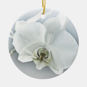 Elegante Witte Orchidee Botanische Kunst Keramisch Ornament