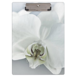 Elegante Witte Orchidee Botanische Kunst Klembord
