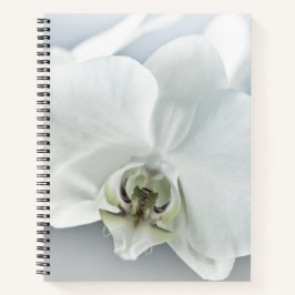 Elegante Witte Orchidee Botanische Kunst Notitieboek