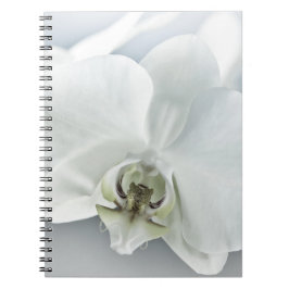 Elegante Witte Orchidee Botanische Kunst Notitieboek
