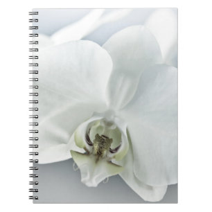 Elegante Witte Orchidee Botanische Kunst Notitieboek