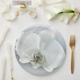 Elegante Witte Orchidee Botanische Kunst Papieren Bordje