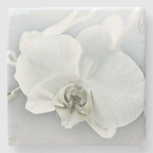 Elegante Witte Orchidee Botanische Kunst Stenen Onderzetter (Voorkant)