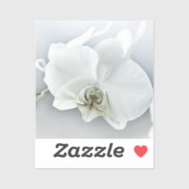 Elegante Witte Orchidee Botanische Kunst Sticker