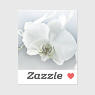Elegante Witte Orchidee Botanische Kunst Sticker