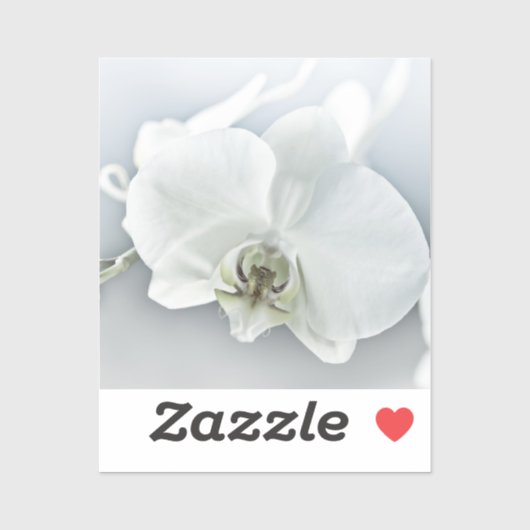 Elegante Witte Orchidee Botanische Kunst Sticker (Vel)