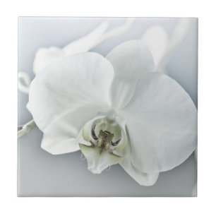 Elegante Witte Orchidee Botanische Kunst Tegeltje
