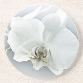 Elegante Witte Orchidee Botanische Kunst Zandsteen Onderzetter