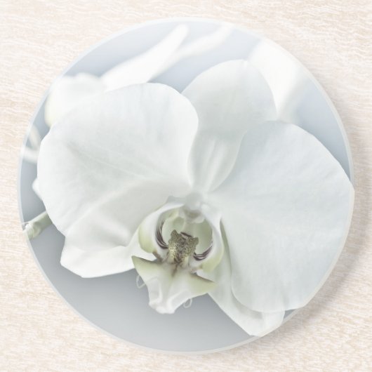 Elegante Witte Orchidee Botanische Kunst Zandsteen Onderzetter (Voorkant)
