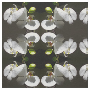 Elegante witte orchidee foto tropische witte bloem stof