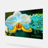 Elegante Witte Orchidee met Waterdruppels Botanisc Acryl Bord (Hoek)