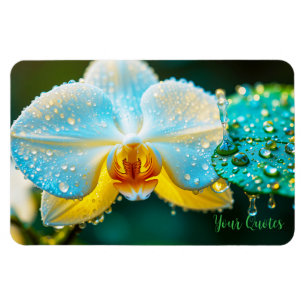 Elegante Witte Orchidee met Waterdruppels Botanisc Magneet
