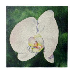 Elegante witte orchidee waterverf schilderij tegeltje
