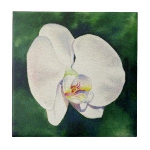 Elegante witte orchidee waterverf schilderij tegeltje