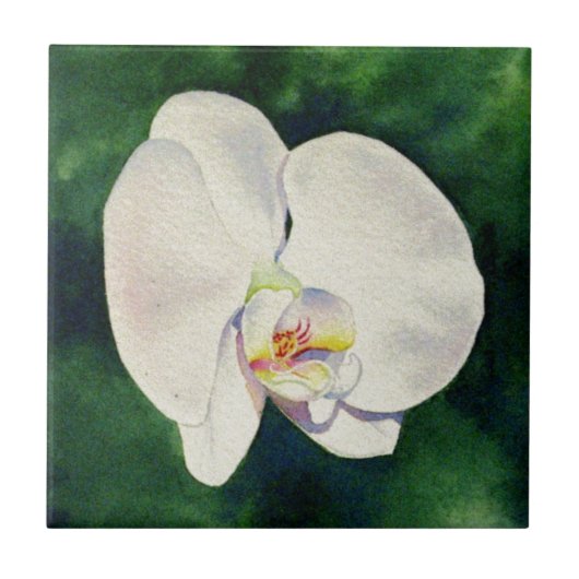 Elegante witte orchidee waterverf schilderij tegeltje (Voorkant)