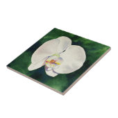 Elegante witte orchidee waterverf schilderij tegeltje (Zijkant)