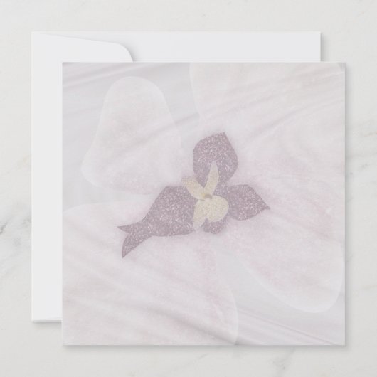 Elegante witte orchideeën bruiloft uitnodiging Kaa (Achterkant)