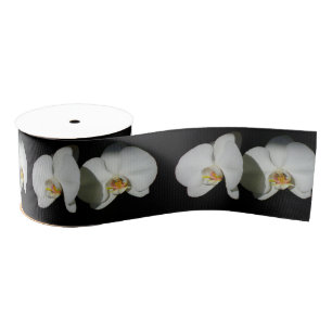 Elegante witte orchideeën, tropische bloemenfoto grosgrain lint
