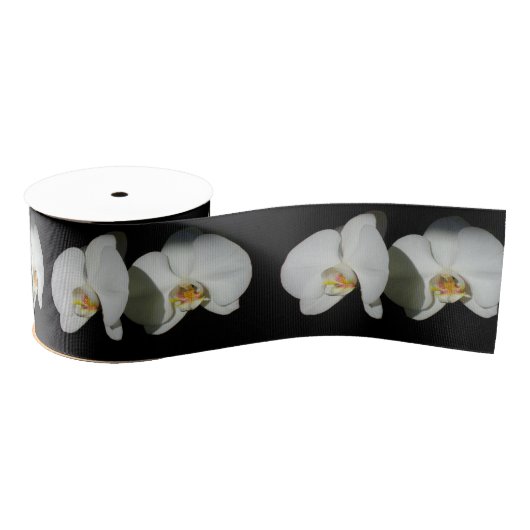 Elegante witte orchideeën, tropische bloemenfoto grosgrain lint (Spoel)