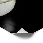 Elegante witte orchideeën, tropische bloemenfoto perfect poster (Hoek)