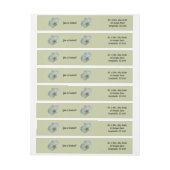 Elegante witte orchideeënbloem botanisch (Vel)