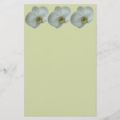 Elegante witte orchideeënbloem botanisch briefpapier (Voorkant)