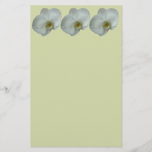 Elegante witte orchideeënbloem botanisch briefpapier (Voorkant)
