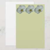 Elegante witte orchideeënbloem botanisch briefpapier (Voorkant / Achterkant)