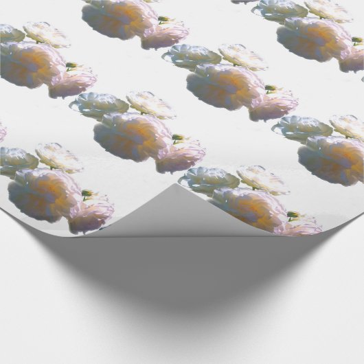 Elegante witte perzik sinaasappel blush rozen cadeaupapier (Hoek)