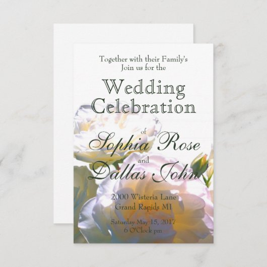 Elegante witte perzik sinaasappel blush rozen kaart (Voorkant / Achterkant)