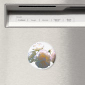 Elegante witte perzik sinaasappel blush rozen magneet (Insitu (Vaatwasser))