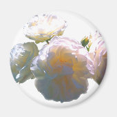 Elegante witte perzik sinaasappel blush rozen magneet (Voorkant)