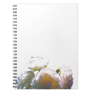 Elegante witte perzik sinaasappel blush rozen notitieboek