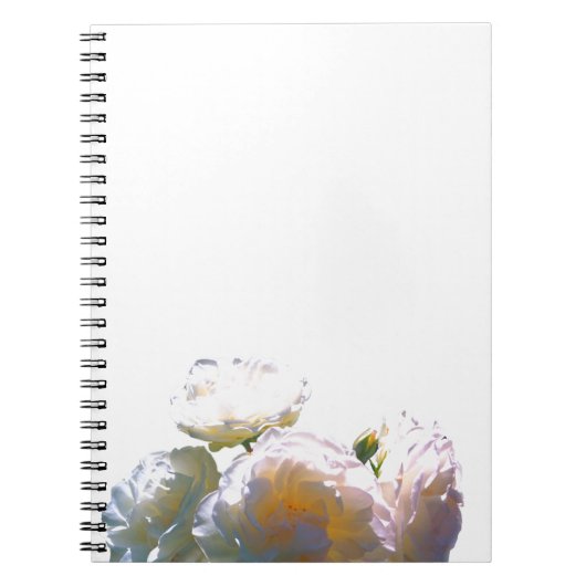 Elegante witte perzik sinaasappel blush rozen notitieboek (Voorkant)