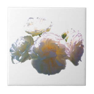 Elegante witte perzik sinaasappel blush rozen tegeltje