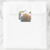 Elegante witte perzik sinaasappel blush rozen vierkante sticker (Tas)