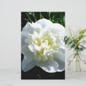 Elegante witte pioen bloemenwitte bloem foto briefpapier (Staand voorkant)
