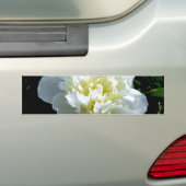 Elegante witte pioen bloemenwitte bloem foto bumpersticker (Op auto)
