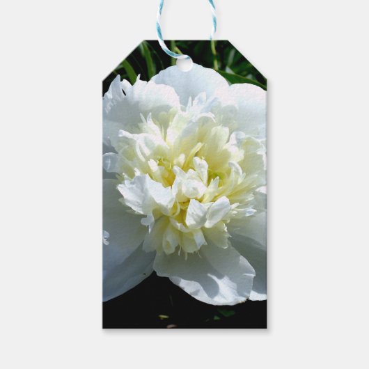 Elegante witte pioen bloemenwitte bloem foto cadeaulabel (Voorkant)