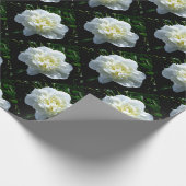 Elegante witte pioen bloemenwitte bloem foto cadeaupapier (Hoek)