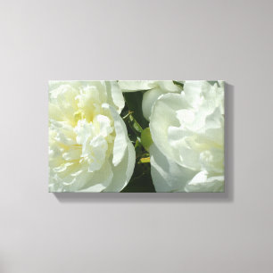 Elegante witte pioen bloemenwitte bloem foto canvas afdruk